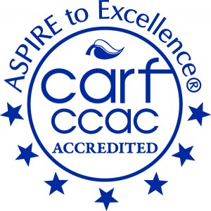 carf requirements manager training carf requirements manager training
