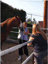 Female‐only treatment programs are complementing clinical modalities with alternatives like equine and art therapy.