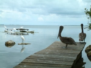 florida county