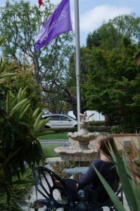 New Directions for Women Flag in Orange County CA