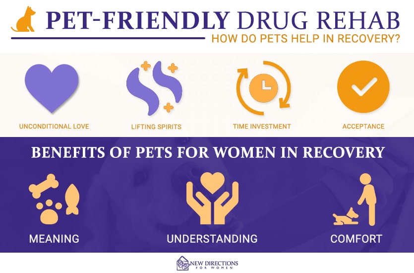 What is a Pet-Friendly Drug Rehab?