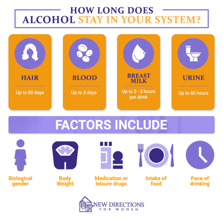How Long Does Alcohol Stay in Your System? New Directions for Women